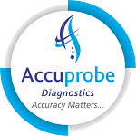 logo1